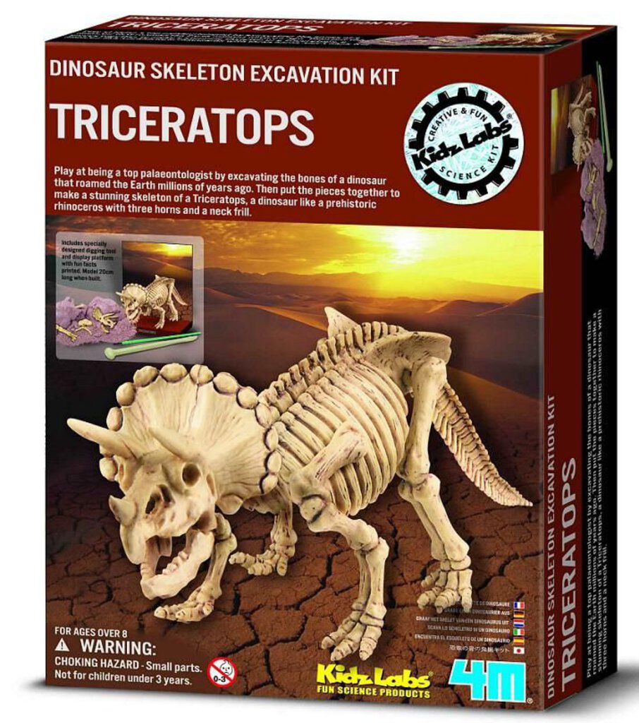 Kit de fouille de dinosaure Triceratops