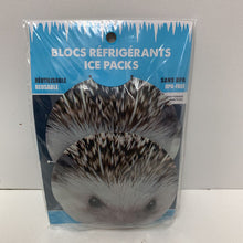 Load image into Gallery viewer, Blocs Refrigerants (divers styles)
