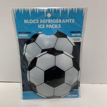 Load image into Gallery viewer, Blocs Refrigerants (divers styles)
